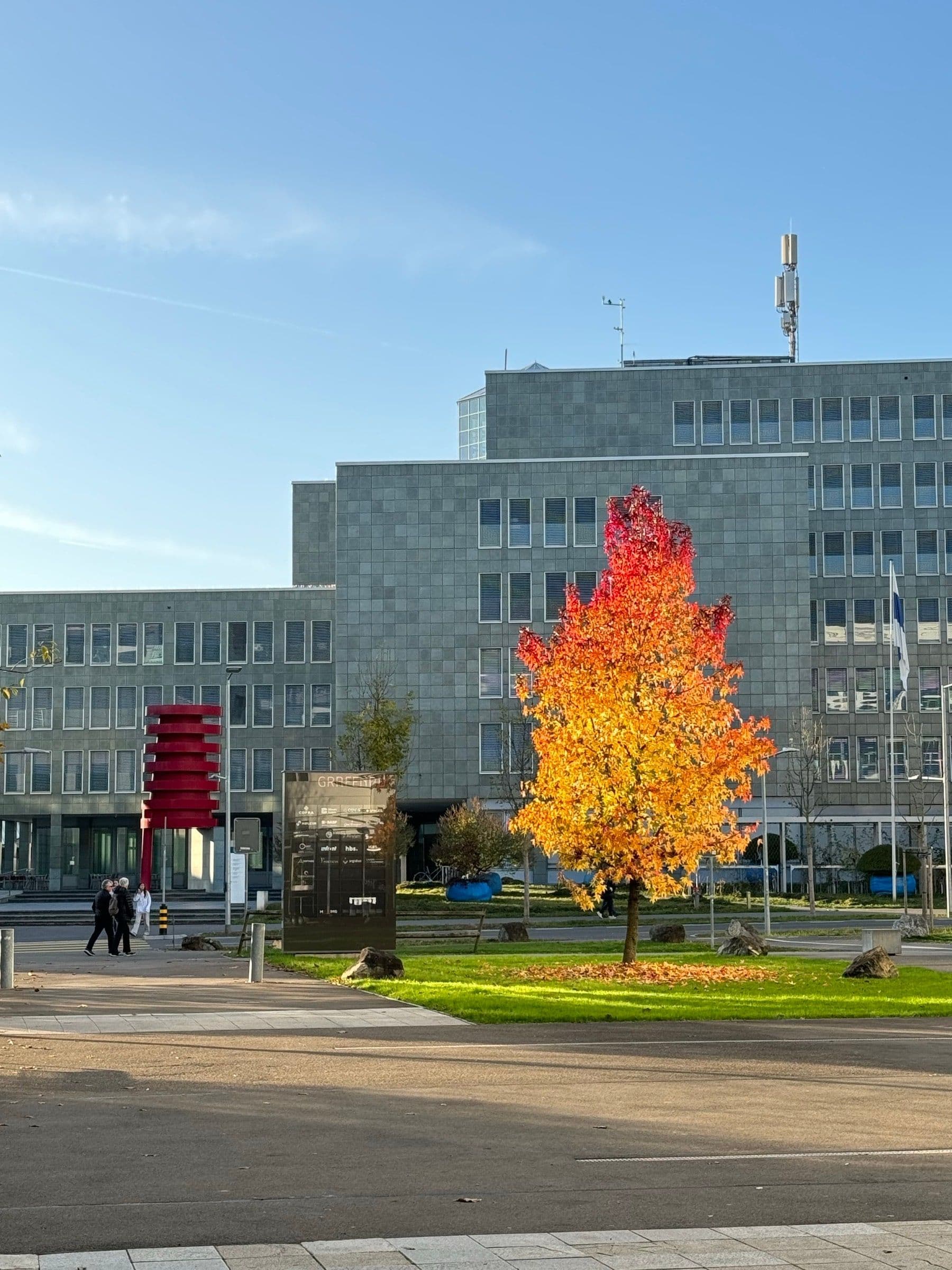 Herbstbaum vor der Stadtverwaltung Zug