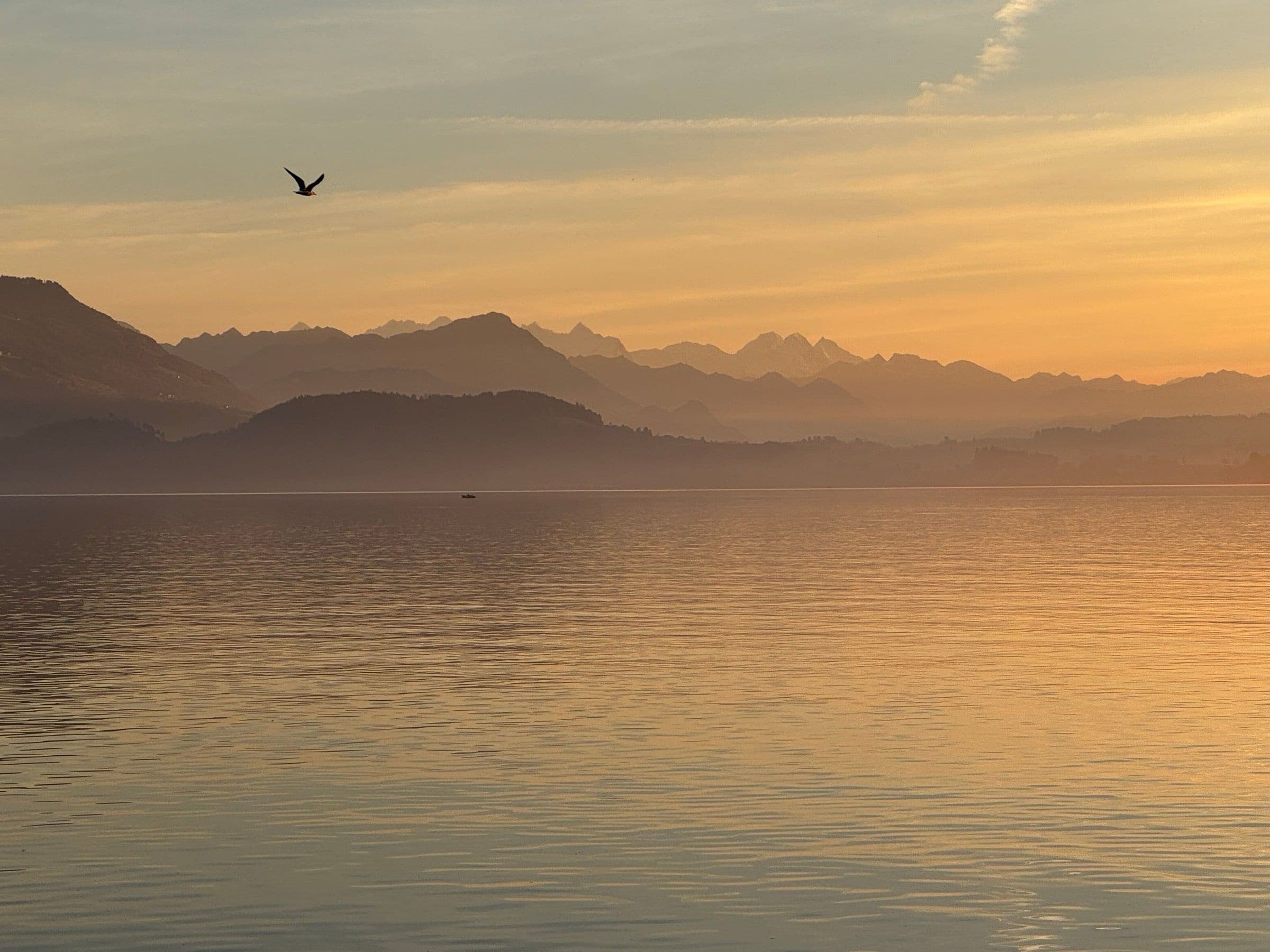 Zugersee im goldenen Morgenlicht