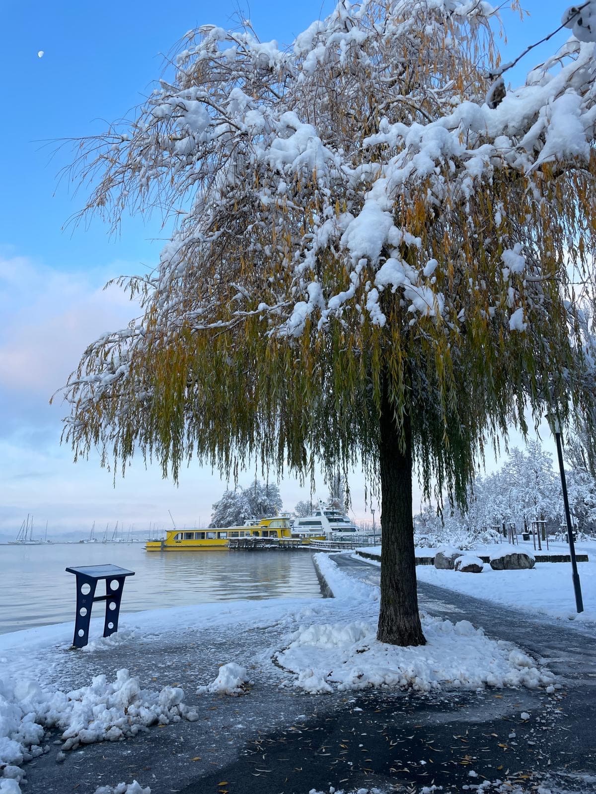 Winterlicher Zugersee
